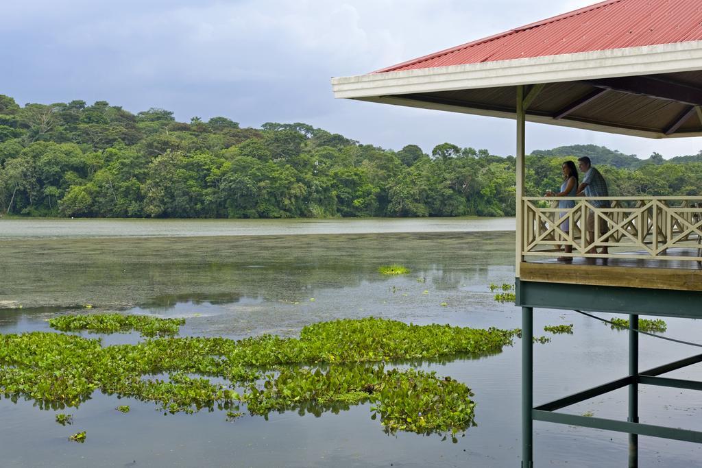 Gamboa Rainforest Reserve Luaran gambar