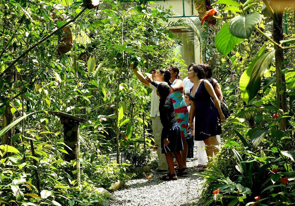 Gamboa Rainforest Reserve Luaran gambar